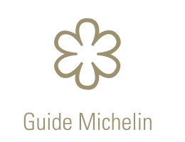 Guide Michelin